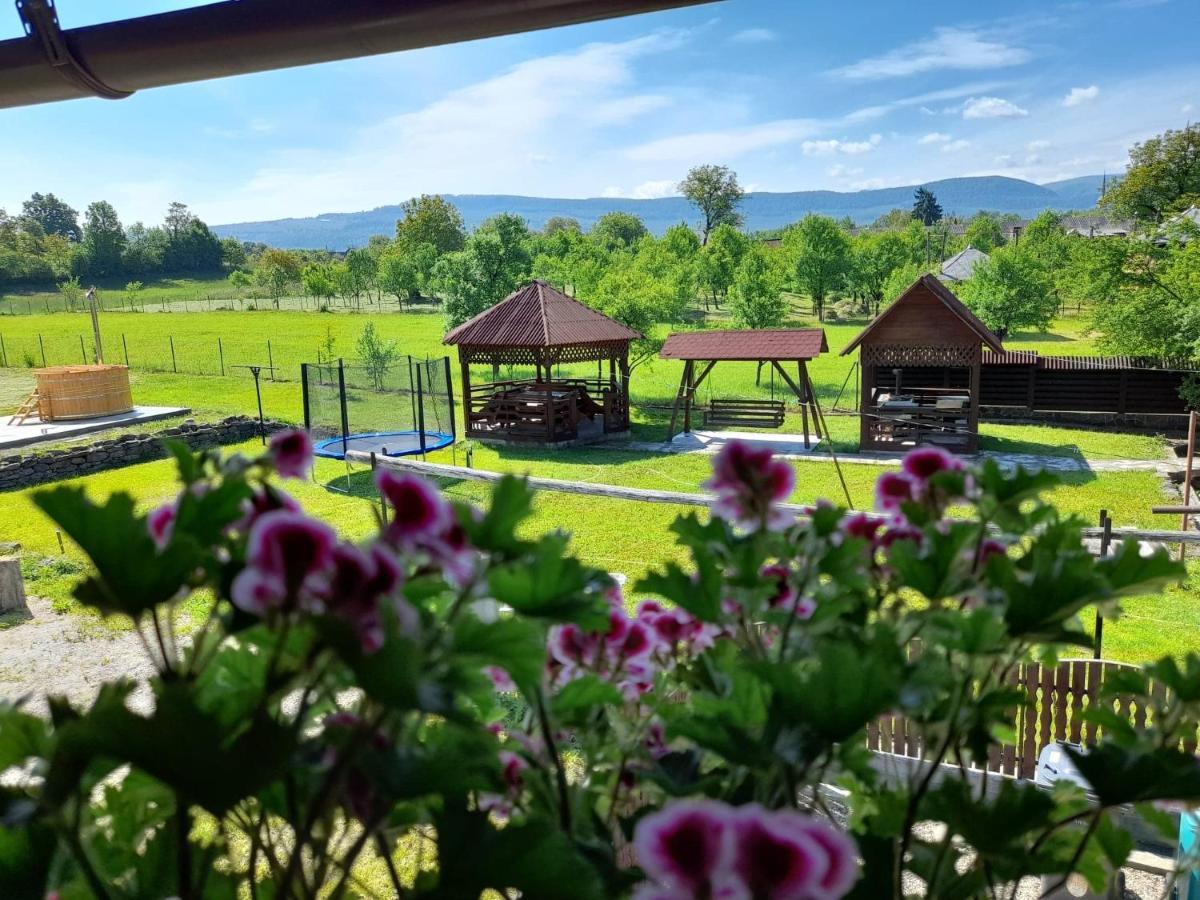 Pensiune Restaurant La Pogace Sapinta Luaran gambar