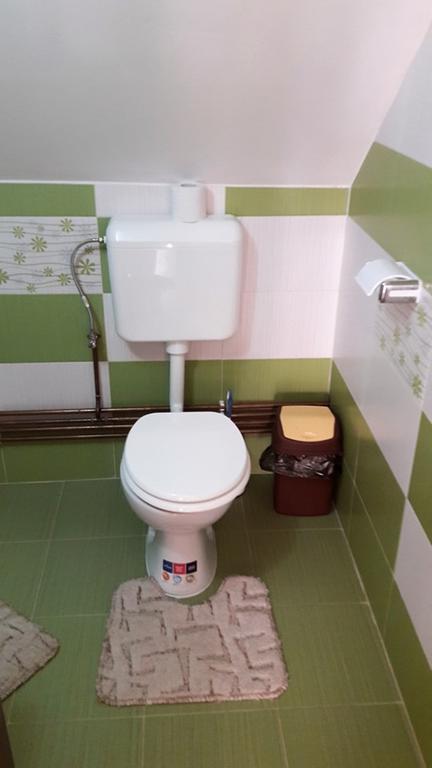 Pensiune Restaurant La Pogace Sapinta Luaran gambar